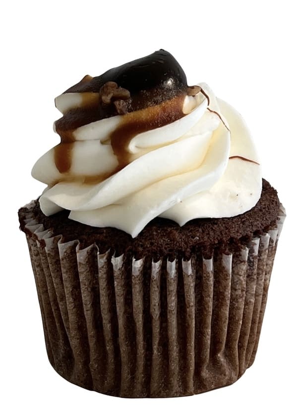 Turtle Cupcake